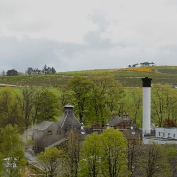 Glendronach Malt Whisky Distillery (Schottland) Brennerei Steckbrief