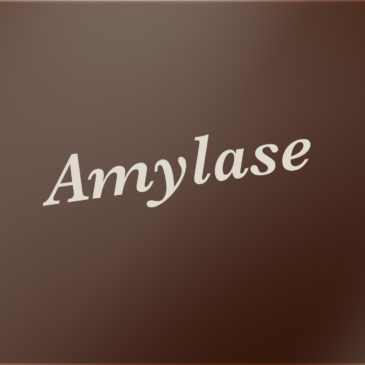 Amylase