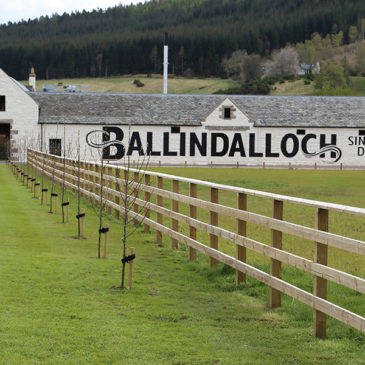 Ballindalloch Malt Whisky Distillery (Schottland) Brennerei Steckbrief