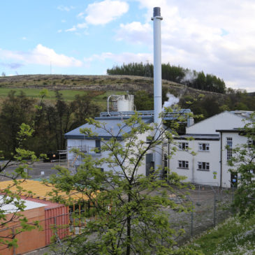 Mortlach Malt Whisky Distillery (Schottland) Brennerei Steckbrief