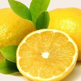 GIN Botanical – Zitronen